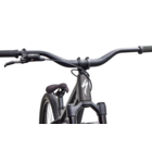 Specialized P.3 Dirt Jump MTB Satin Metallic Obsidian / Metallic White Silver
