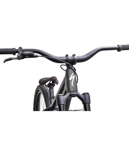 Specialized P.3 Dirt Jump MTB Satin Metallic Obsidian / Metallic White Silver