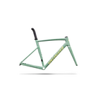 Specialized Allez Sprint Frameset Agave Grey/Kelly Green/Sunset Yellow