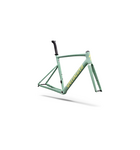 Specialized Allez Sprint Frameset Agave Grey/Kelly Green/Sunset Yellow