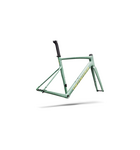 Specialized Allez Sprint Frameset Agave Grey/Kelly Green/Sunset Yellow