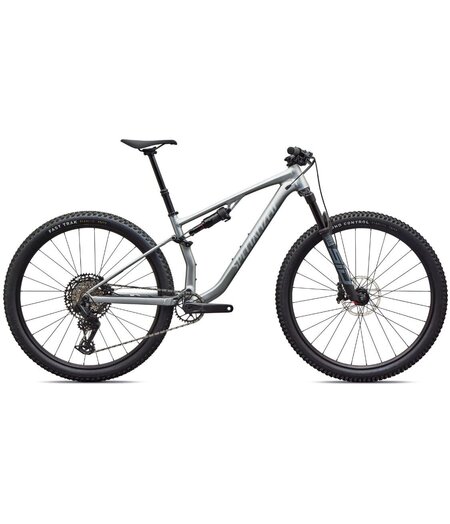 Specialized Chisel Comp Satin Shadow Silver / Silver Dust