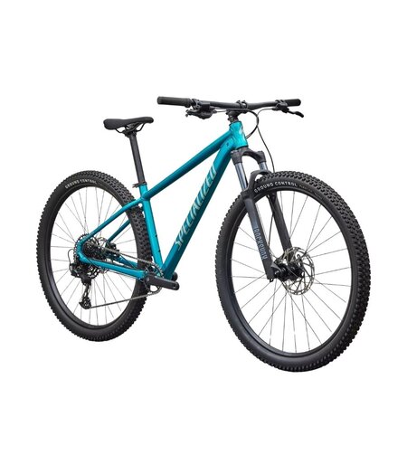 Specialized Rockhopper Comp Gloss Teal Tint Aluminum / Agave Grey