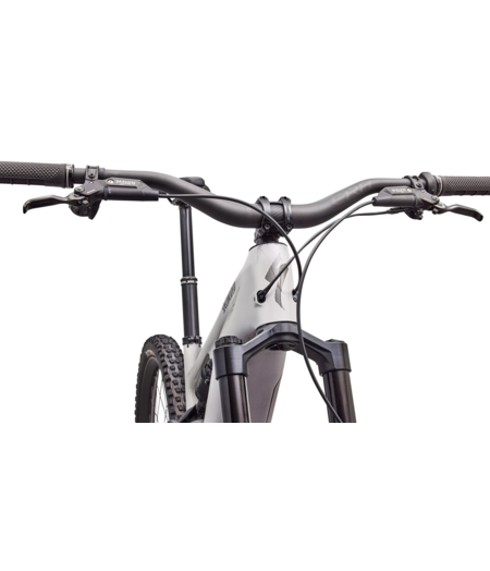 Specialized Turbo Levo 4 Pro - Gloss Dolomite Metallic / Smoke