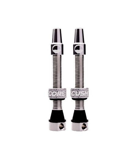 CushCore Tubeless Valves (Pair) Silver 55mm