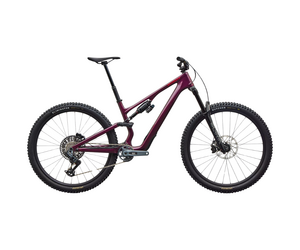 Stumpjumper 15 EVO Expert Gloss Bordeaux Metallic