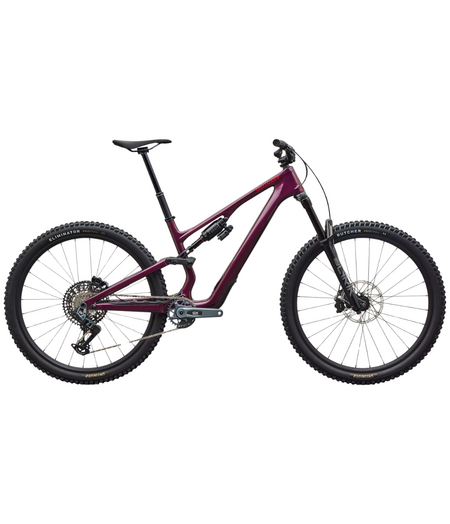 Specialized Stumpjumper 15 EVO Expert Gloss Bordeaux Metallic