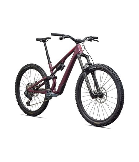 Specialized Stumpjumper 15 EVO Expert Gloss Bordeaux Metallic