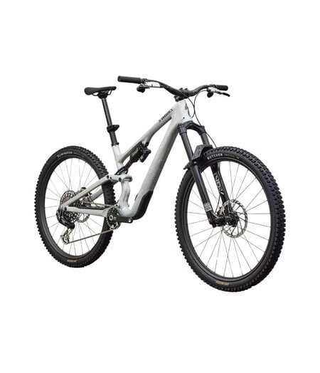 Specialized S-Works Stumpjumper 15 EVO  Gloss Metallic White Silver