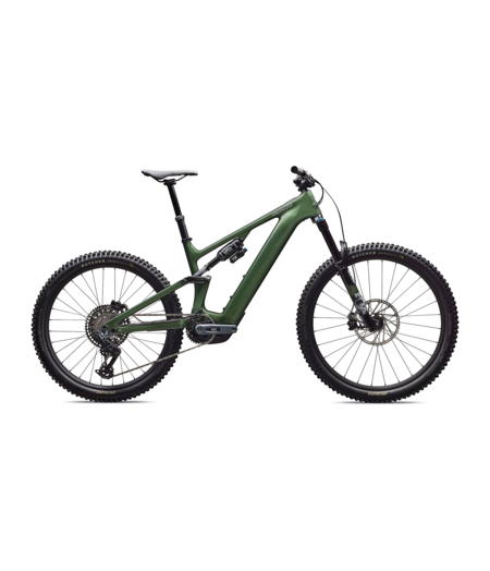 Specialized Turbo Levo 4 Expert - Gloss Cypress Metallic / Silver Dust