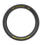 Pirelli Blacksting DualWALL Soft Team Edition