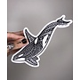 Orca Sticker