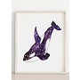 Orca Print