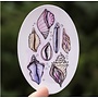 She Shells Sticker