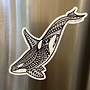 Orca Magnet