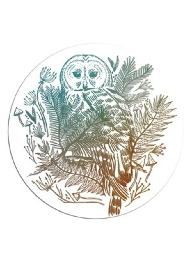 Barred Owl Vinyl Sticker