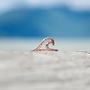 Rose Gold Wave Ring