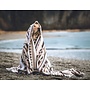 Tofino Beach Blanket - SUMMIT