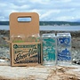 Brewview 4 PACK Beer Glass Set