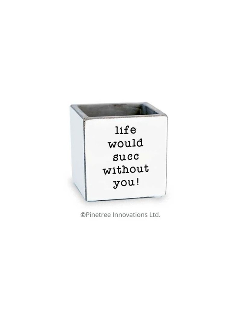Pine Tree Innovations Life Would Succ Without You 3"x3"Planter