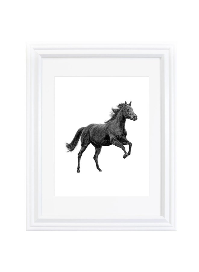 Horse Print 8x10