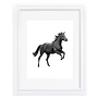Horse Print 8x10