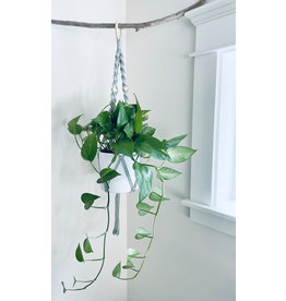 Nordick Knots Twisted Plant Hanger- Hint of Mint