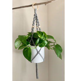 Nordick Knots Twisted Plant Hanger- Light Grey