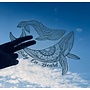 Humpback Baby On Board Decal