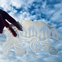 Bear Decal