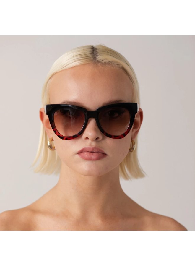 HAYLEY Sunglasses (Black/Leopard)