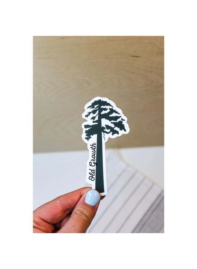 Old Growth Tree Sticker
