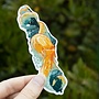 Vancouver Island Octopus 3" Sticker