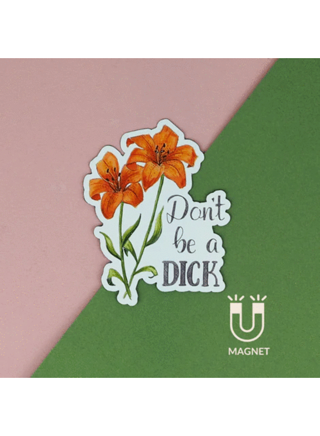 Don't Be a Dick Magnet