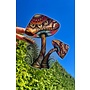 Retro Mushroom Decal