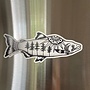 Salmon Magnet