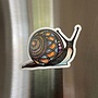Colourful Snail Magnet