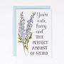 You're Cute, Funny...Weird Card