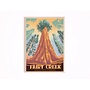 Fairy Creek Poster Print