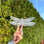 Dragonfly Car Decal