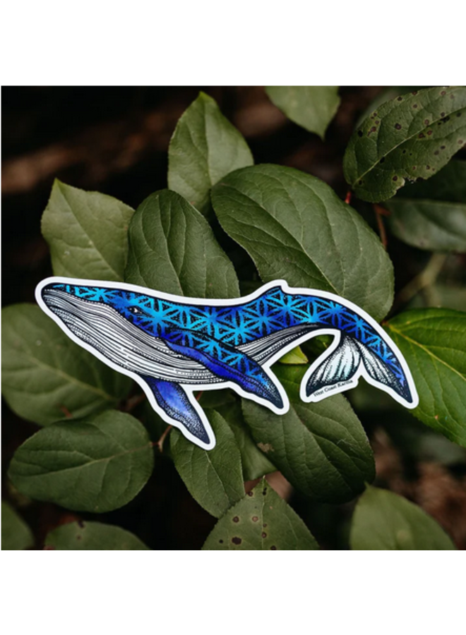 Colourful Humpback Seed of Life Sticker
