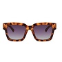 Gorgona Polarized Sunglasses (Tortoise)