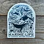 Marine Life Sticker