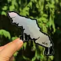 Island Lure Sticker