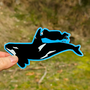 Orca Ride Sticker