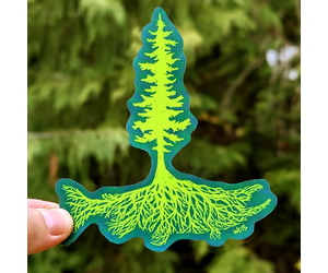 Salmon Roots Sticker - Cultured Coast