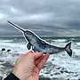 Narwhal Colourful Sticker