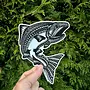Jumping Salmon Sticker