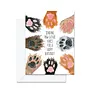 Sending Paw-Sitive Vibes For A Happy Birthday Card