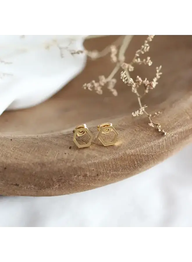 Mini Hexagon Earrings
